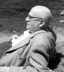 Blog 2 - Adorno on the beach